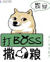 촩ϵͳBOSS